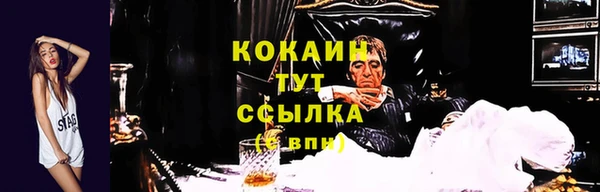 гидропоника Осташков